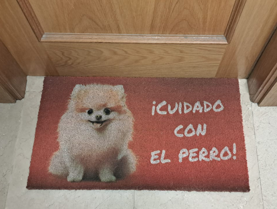 Con tu mascota